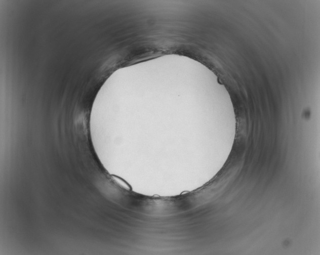 X0000116680286201001111338