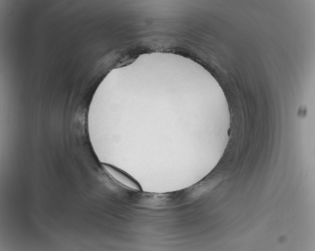 X0000116680288201001111338