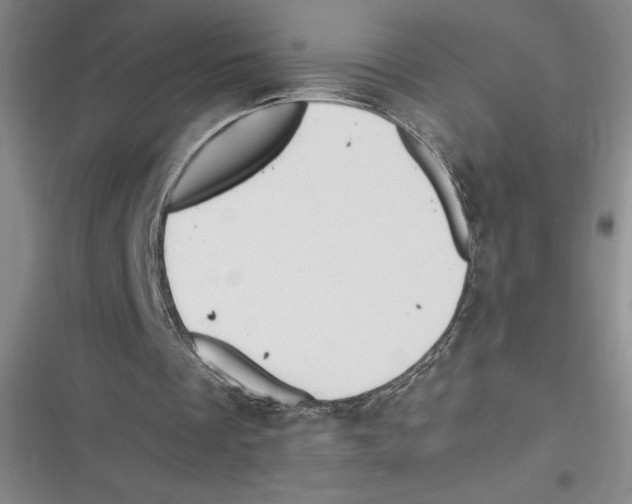 X0000116680289201001111337