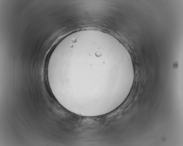 X0000116680290201001111337