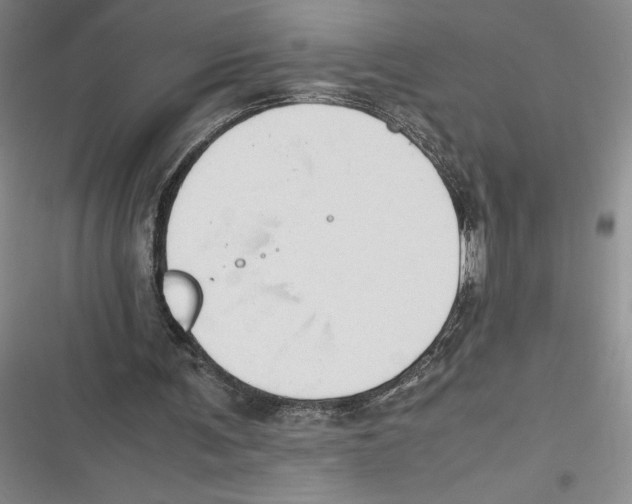 X0000116680291201001111337