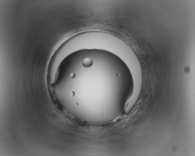 X0000116680292201001111337