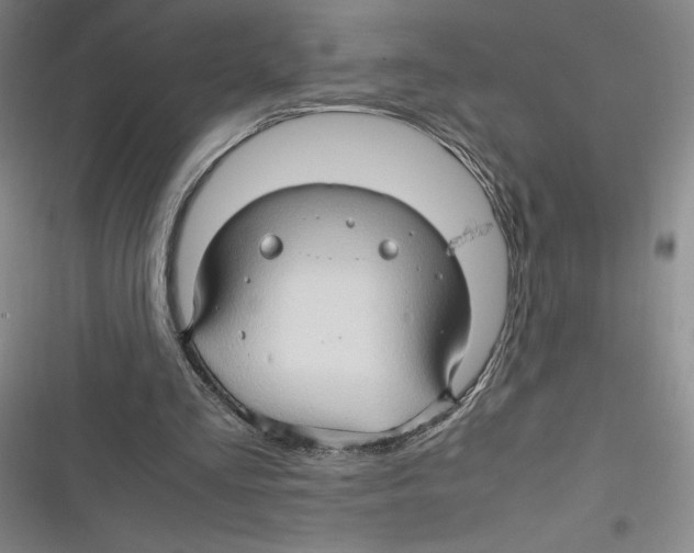 X0000116680293201001111337