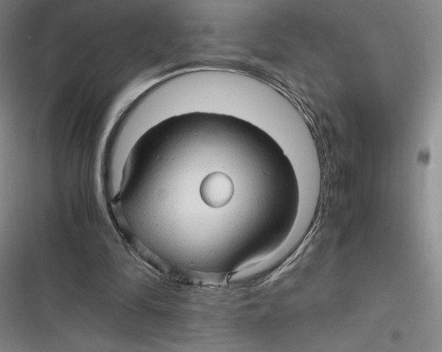 X0000116680294201001111337