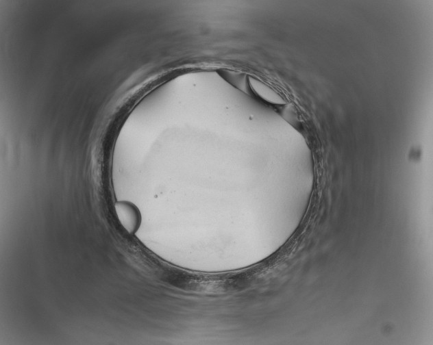 X0000116680295201001111337