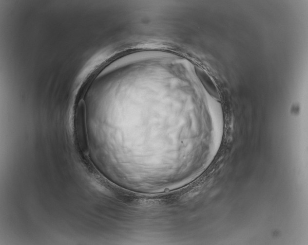 X0000116680296201001111337