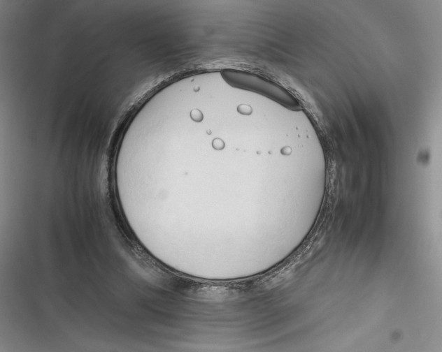 X0000116680298201001111337