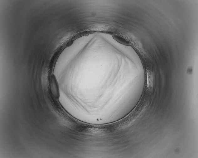 X0000116680300201001111337