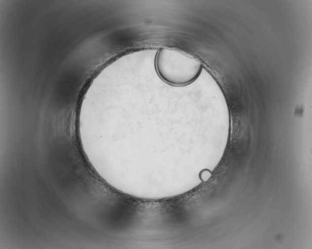 X0000116680301201001111337