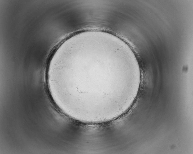 X0000116680302201001111337