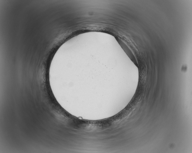 X0000116680303201001111337