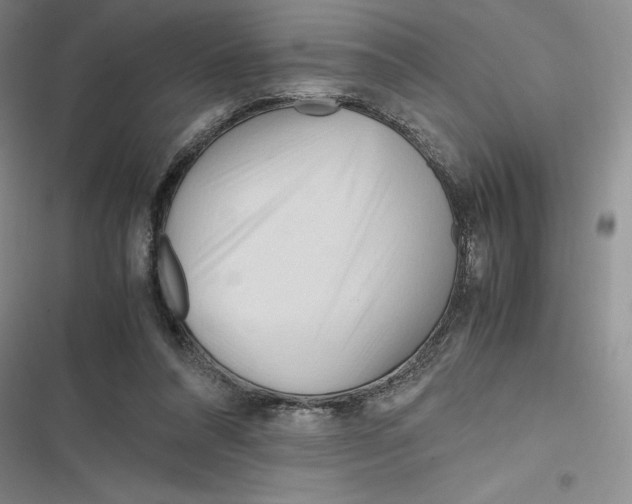 X0000116680304201001111337