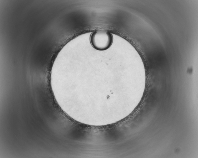 X0000116680305201001111337