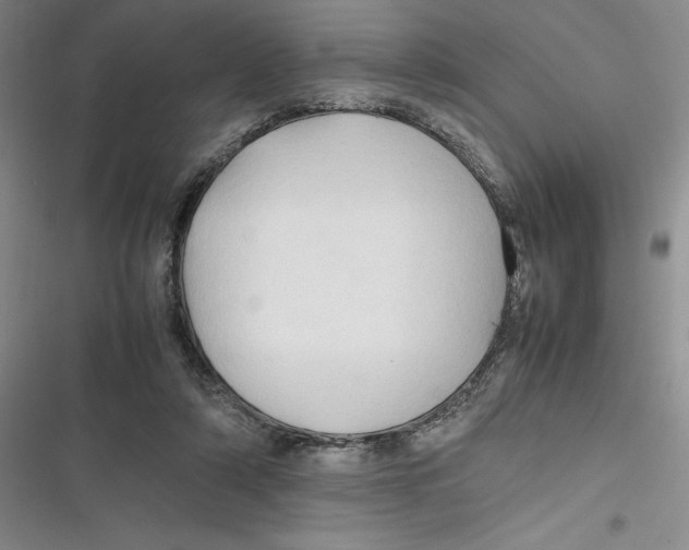 X0000116680306201001111337