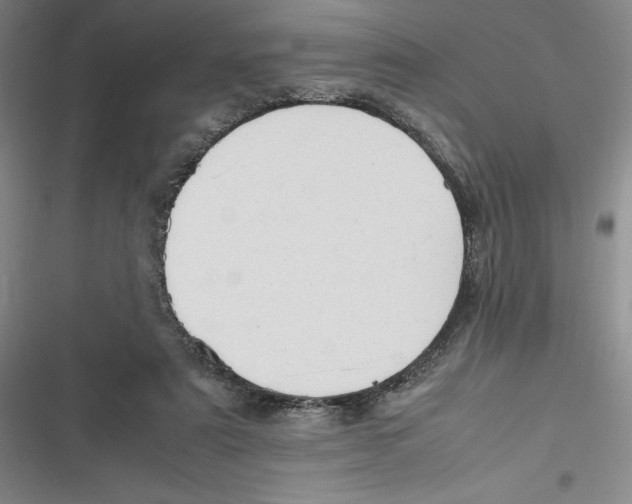 X0000116680307201001111337