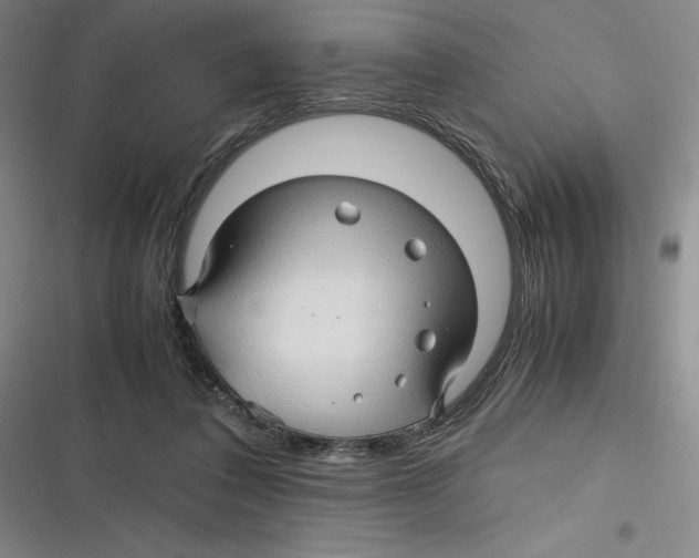 X0000116680308201001111337