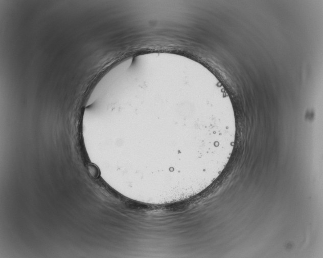 X0000116680309201001111337