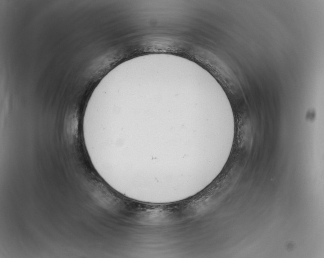 X0000116680310201001111337