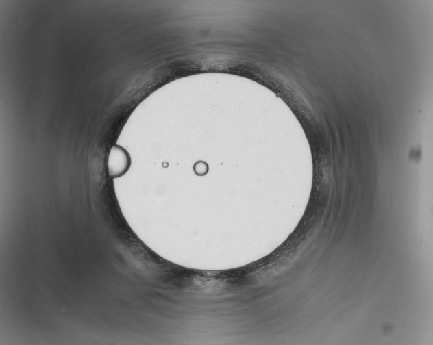 X0000116680311201001111337