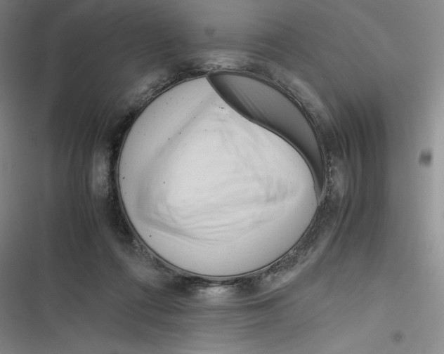 X0000116680312201001111337