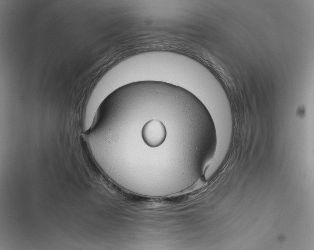 X0000116680313201001111337