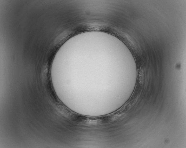 X0000116680314201001111337