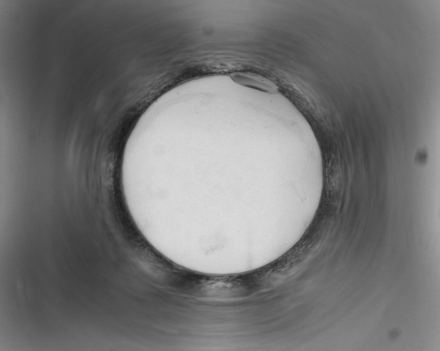 X0000116680315201001111337