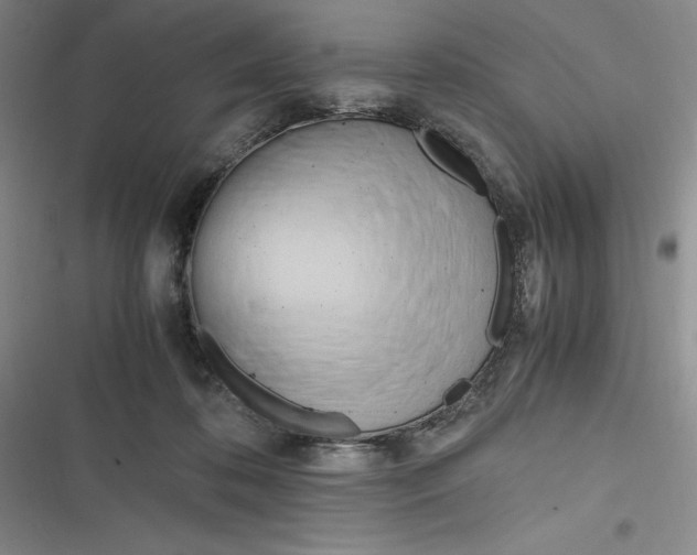 X0000116680316201001111337