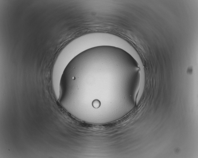 X0000116680317201001111337