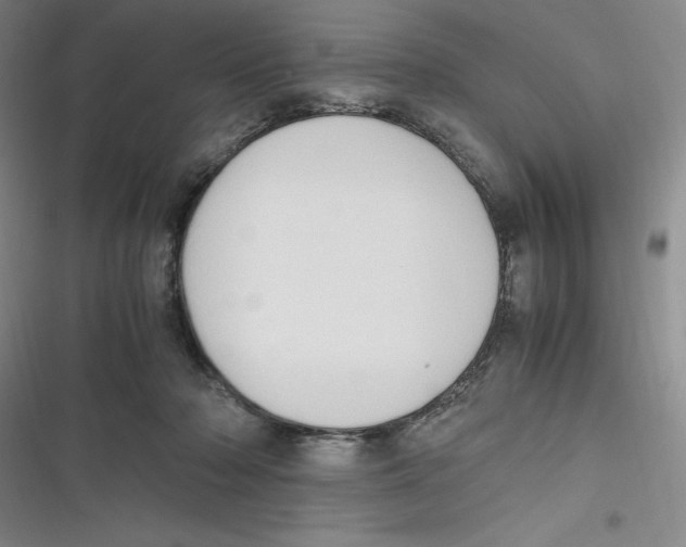 X0000116680318201001111337