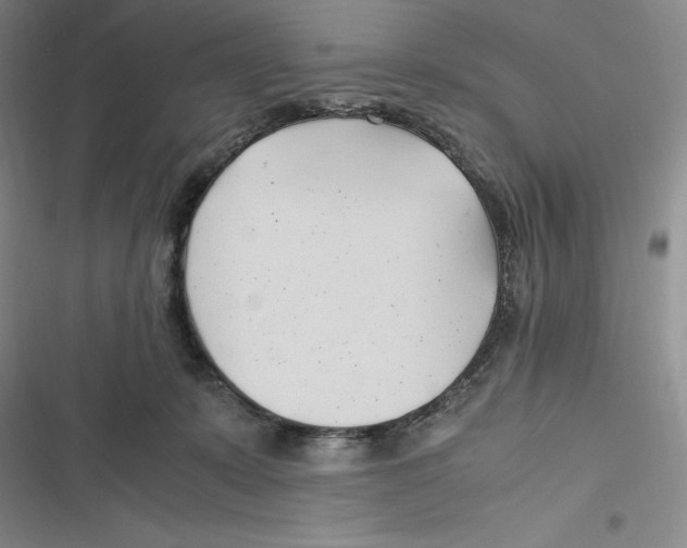 X0000116680319201001111337