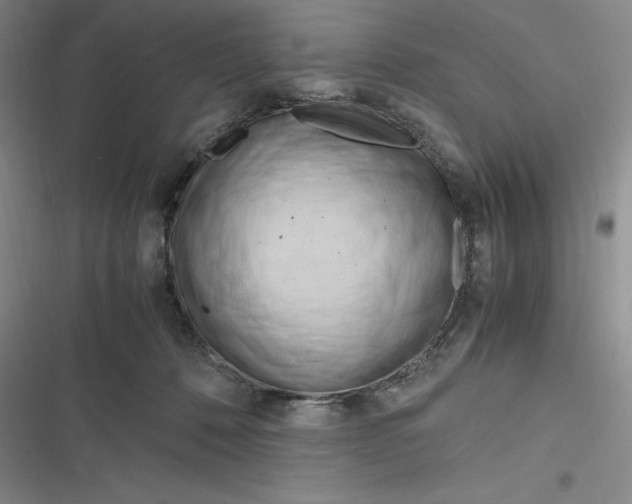 X0000116680320201001111337