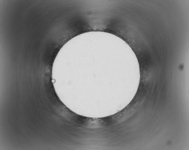 X0000116680321201001111337