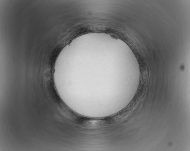 X0000116680323201001111337