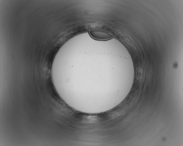 X0000116680324201001111337