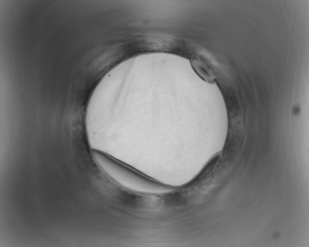 X0000116680325201001111337