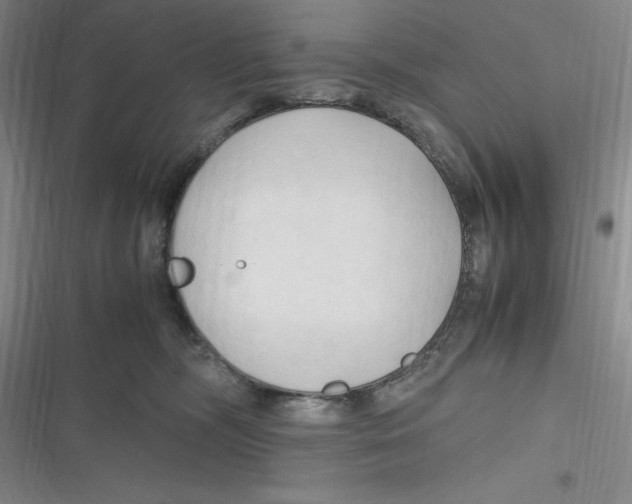 X0000116680326201001111337