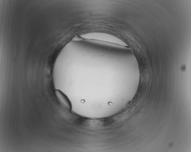 X0000116680327201001111337