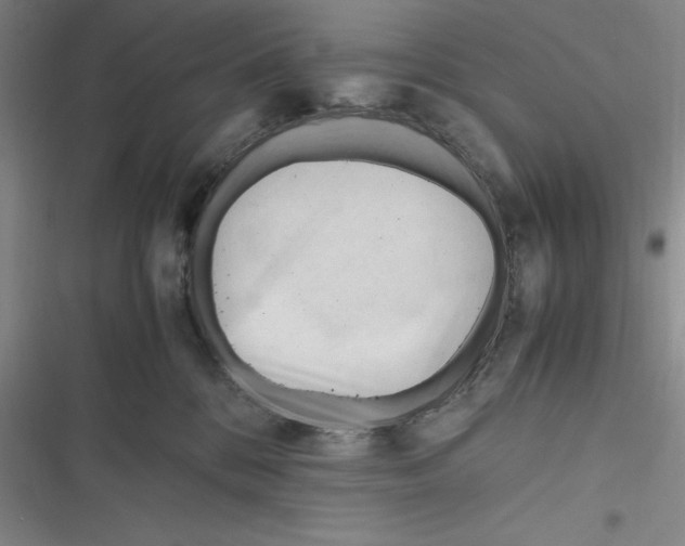 X0000116680328201001111337