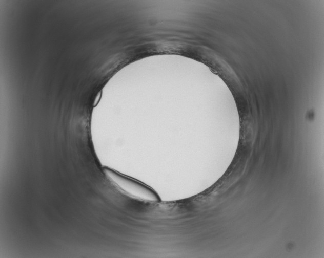 X0000116680329201001111337