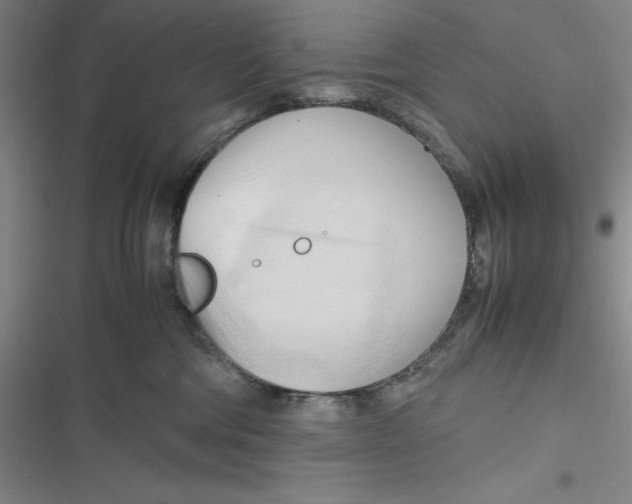 X0000116680330201001111337