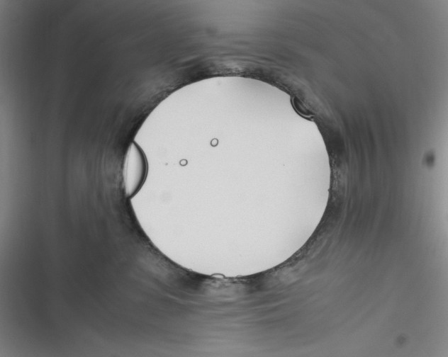 X0000116680331201001111337