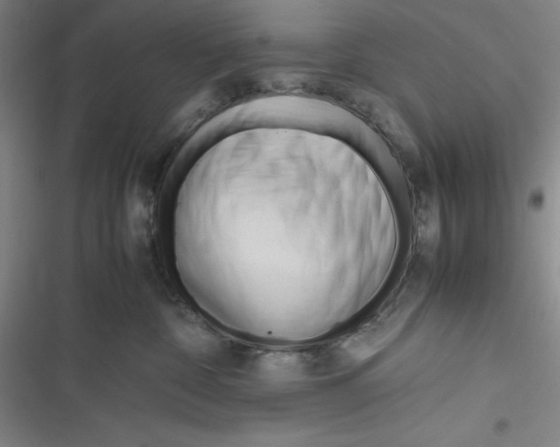 X0000116680332201001111337