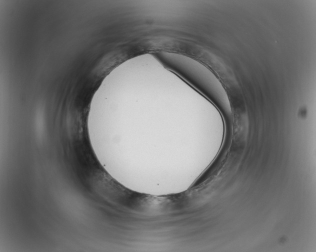 X0000116680333201001111337