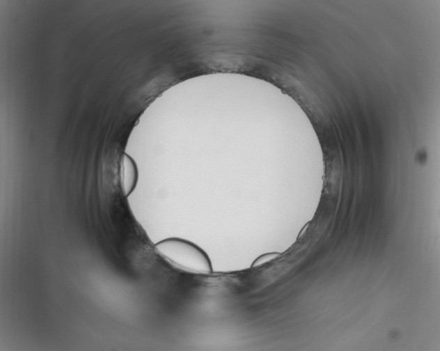 X0000116680334201001111337