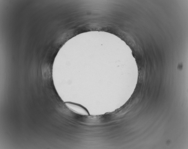 X0000116680335201001111337