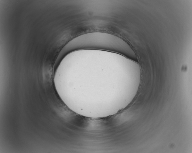 X0000116680336201001111337