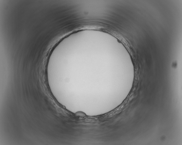 X0000116680337201001111336