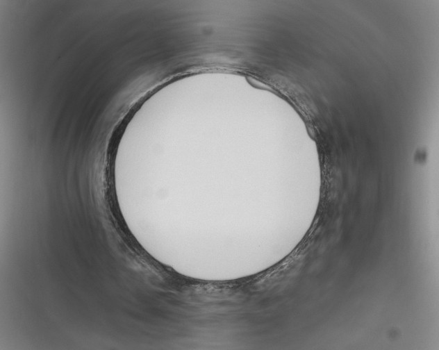 X0000116680338201001111336