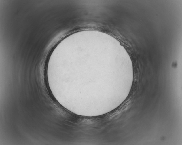 X0000116680341201001111336